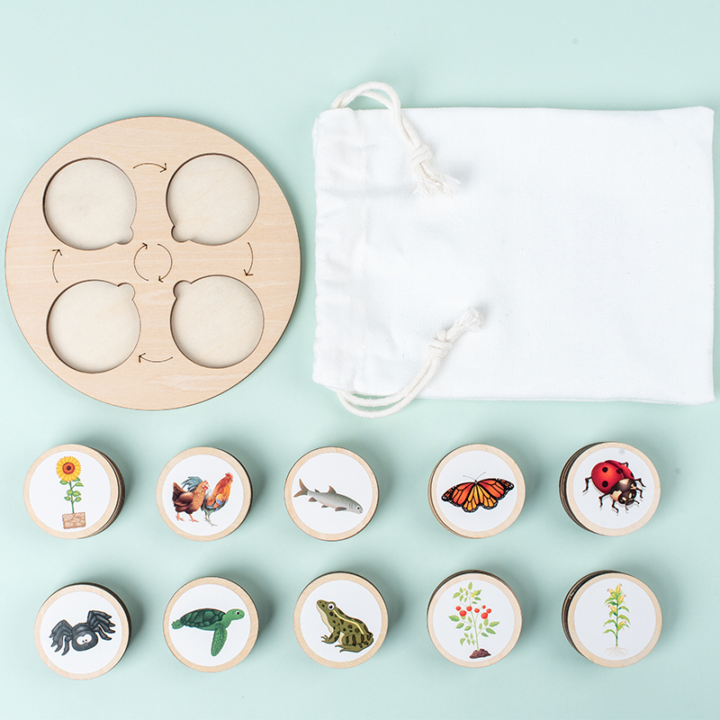 Life Cycle Board Montessori Ki - огляд і ціна Montessori Shelf Toy