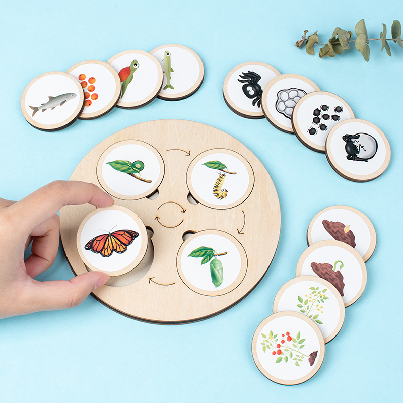 Life Cycle Board Montessori Ki - огляд і ціна Montessori Shelf Toy