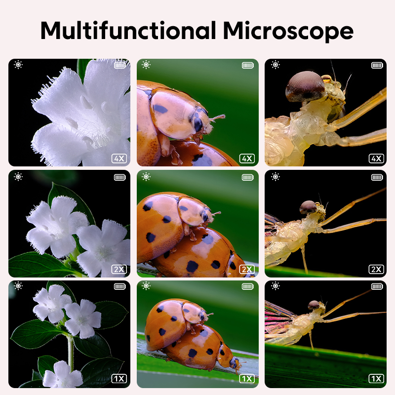 Mini Kids Optical Microscope W - огляд і ціна Kids Educational Videos