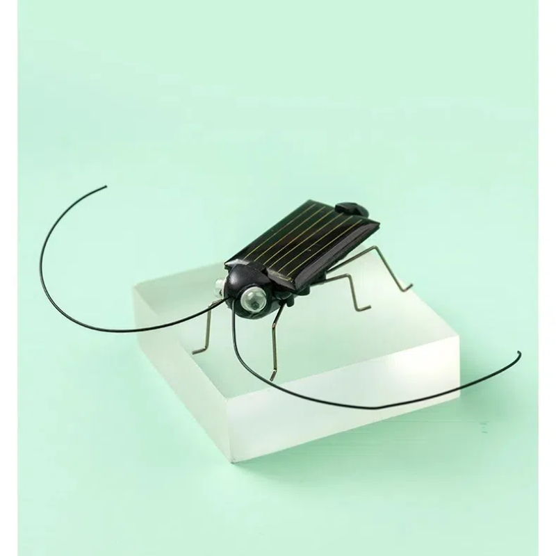 Solar Powered Locust Grasshopp - огляд і ціна Kingdom Kids Education