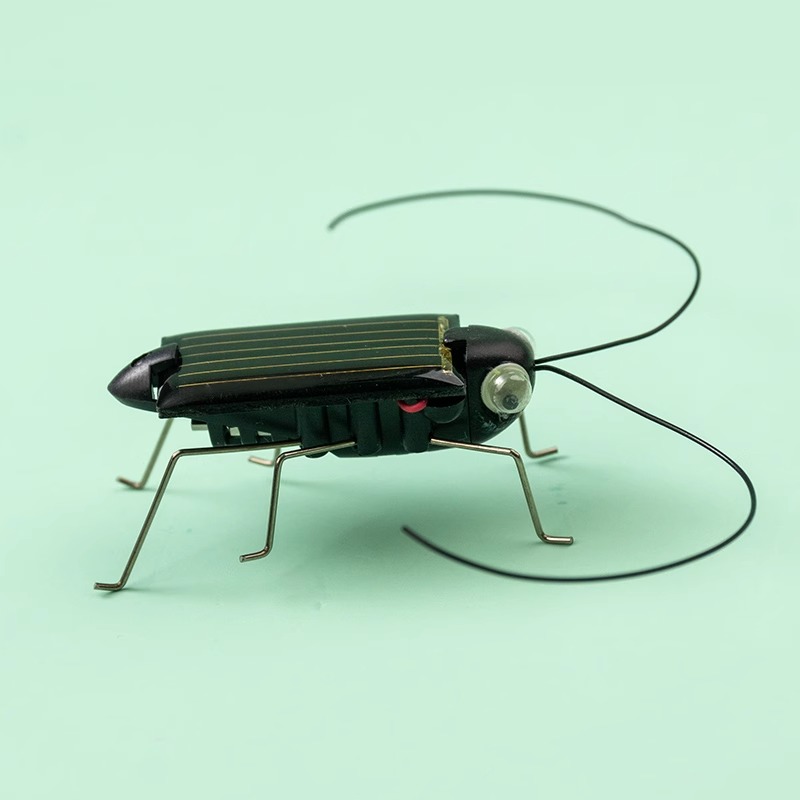 Solar Powered Locust Grasshopp - огляд і ціна Kingdom Kids Education